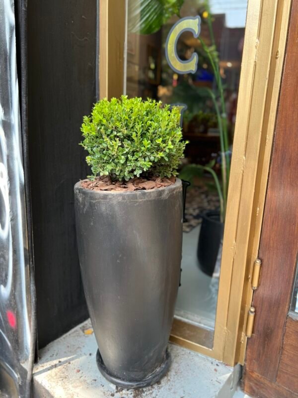 Cono Moderno 70x30 - Imagen 3