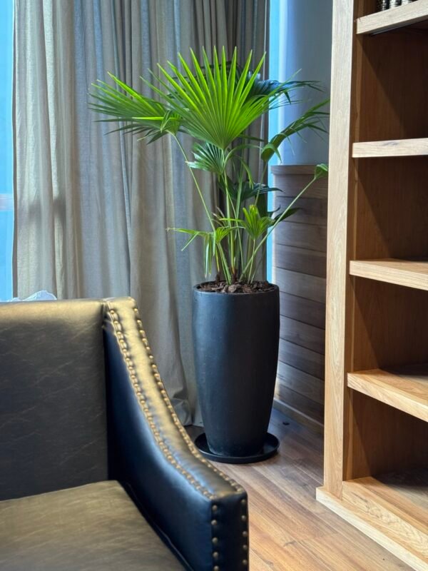 Cono Moderno 70x30