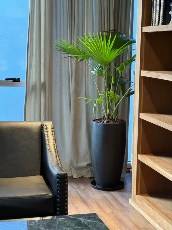 Cono Moderno 70x30 - Imagen 2